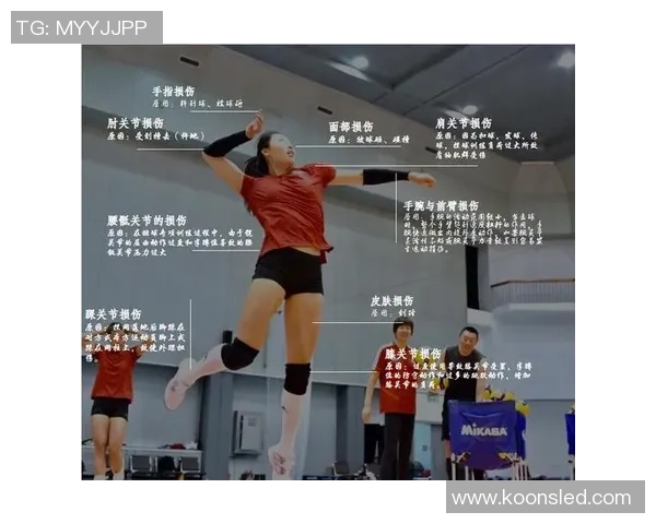 杭州排球队的成长之路：一段关于拼搏与团结的排球纪实故事